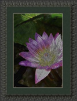 Water Lily (vertical)