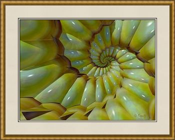 Shellfish Dream, a fine art giclee