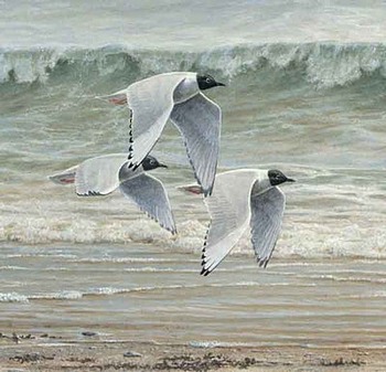 Au fil de l'eau II Pierre Leduc art print 'Au fil de l'eau II'