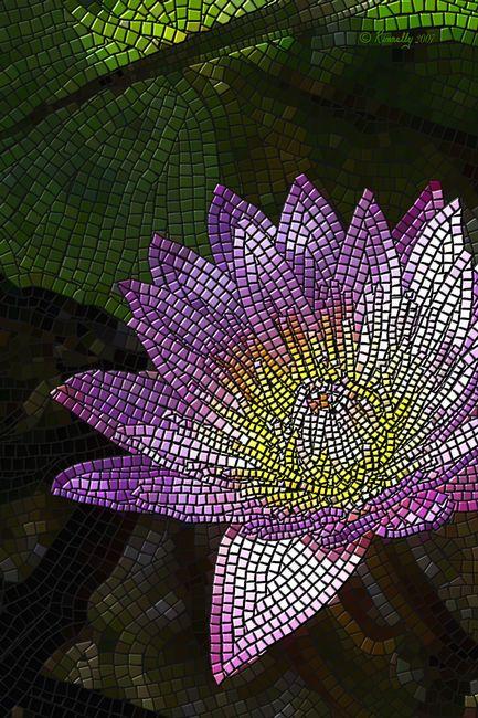 Giclee print, a mosaic "Water Lily" (vert) by Kinnally