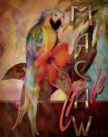 Macaw Caf by artist Alma Lee. Art prints, posters, animal art; decor art; macaw, art prints; posters; from an original  painting