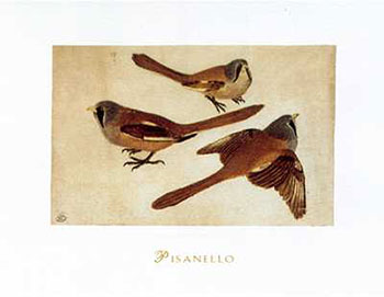 Art print Tre Ciniallegre by Antonio Pisanello; three birds