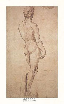 Art print Nude Study by Raphael Sanzio; a male nude from behind