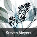 Steven Meyers art prints